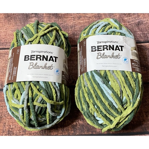 Bernat Other - Bernat Blanket Forest Sage Yarn (Lot  of 2) 10.5 oz/220 yds Weight 6 Bulky New